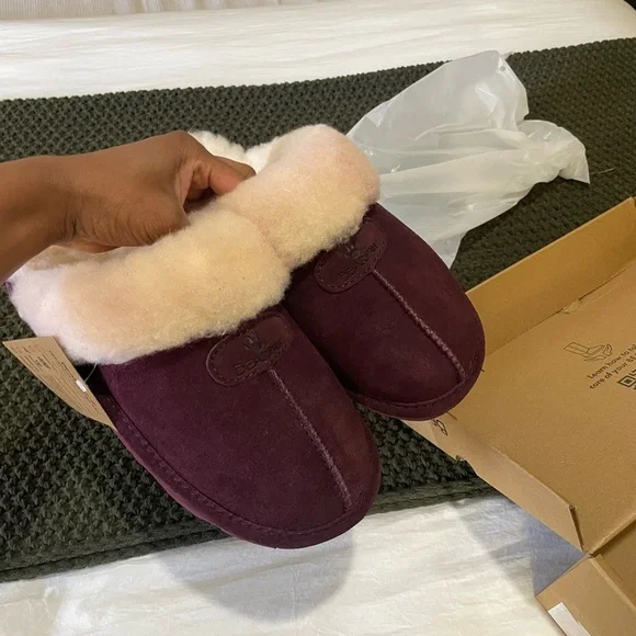 Bear paw Loki Slippers - Picture 2 of 5